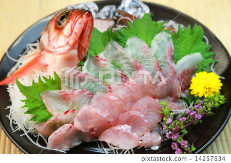 Red megaline sashimi 14257834