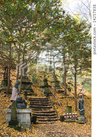 Maruyama Primitive Forest Climbing Road Entrance Maruyama Primitive Forest Climbing Road Entrance 14257838