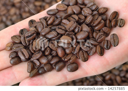 Agriculture, coffee 14257885