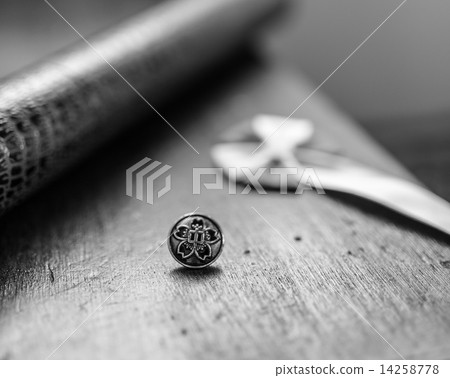 Memory of graduation 14258778