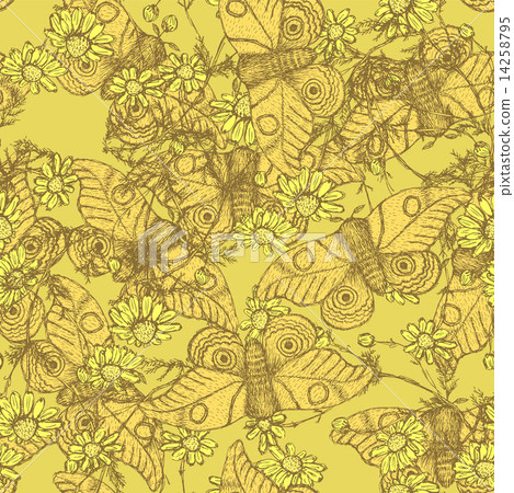 Sketch moth and daisy in vintage style Sketch moth and daisy in vintage style 14258795