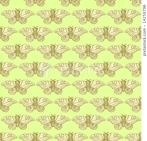 Sketch moth incect in vintage style 14258796