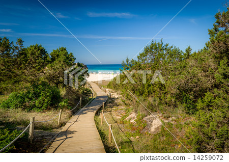 Path to the sea and sand beach Path to the sea and sand beach 14259072