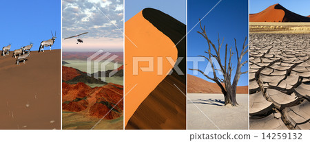 Namib Desert - Namibia 14259132