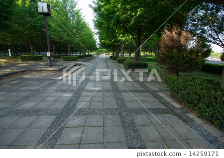 park  park 14259171
