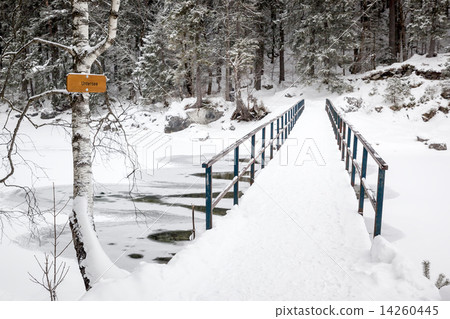 Eibsee winter 14260445