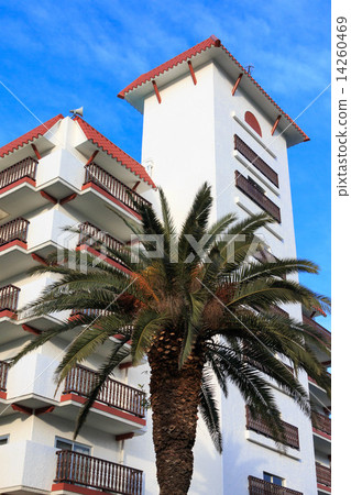 Zushi Marina morning 14260469