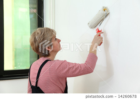 Worker painting  in a room, home renovation 14260678