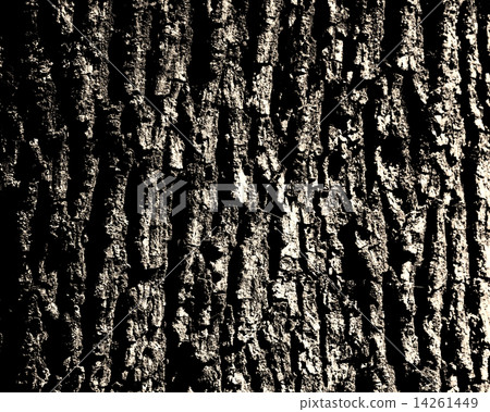 oak bark oak bark 14261449