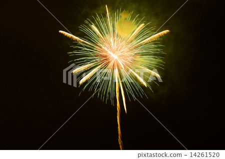 Fireworks 14261520