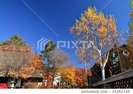 Kawaguchiko Yagisaki公園秋葉 Kawaguchiko Yagisaki公園秋葉 14262194