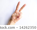 手顯示手2 14262350