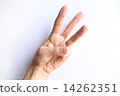 手顯示手3 14262351