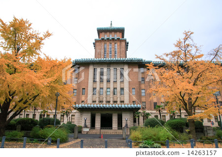 Autumn leaves of Japan Avenue 14263157