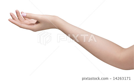 Woman hand showing Woman hand showing 14263171