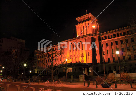 Illumination of Japan Boulevard Illumination of Japan Boulevard 14263239