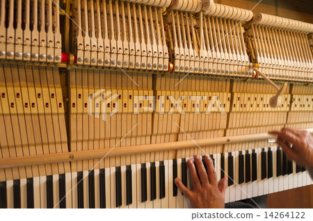 鋼琴 14264122