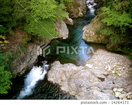 natural pool natural pool 14264171