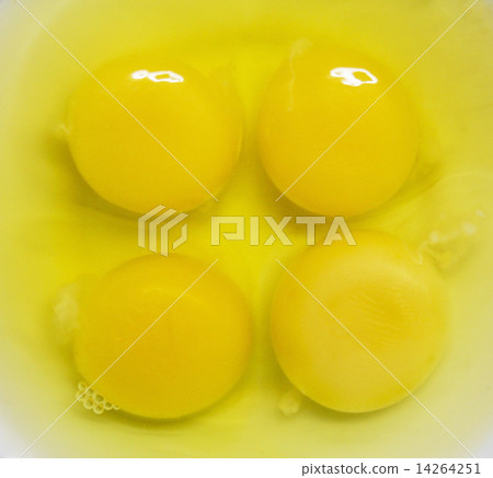 Liquid egg 14264251