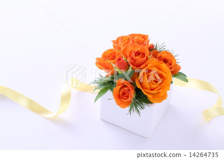 禮物，安排鮮花 14264735