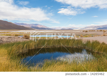 Northern Argentina Northern Argentina 14265462
