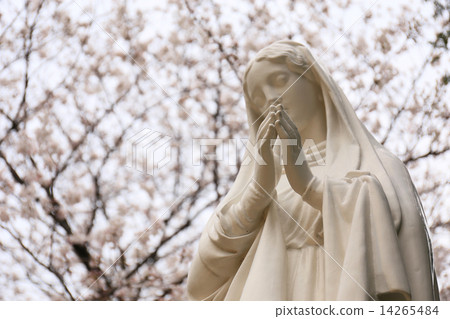 春天禱告 14265484