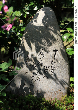 落柿建設 14266142