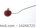 Tomato stuck on a fork 14266725