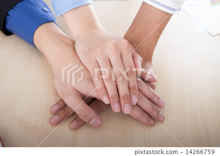 International Business  14266759