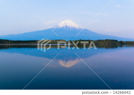 Reversed Fuji reflected in Tanuki Lake Reversed Fuji reflected in Tanuki Lake 14266842