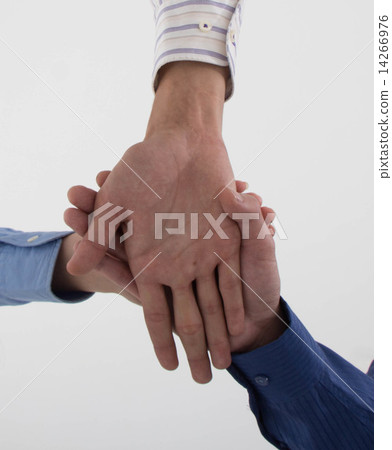 International Business International Business 14266976