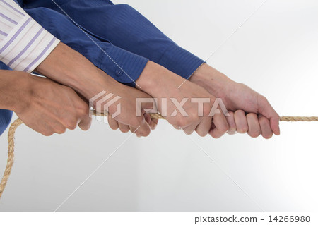 International Business International Business 14266980