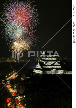 Ogura castle Night view 14267543