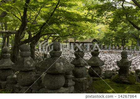 Fresh green of Narukan Buddha 14267864