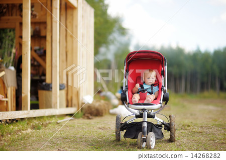 Little baby boy in stroller 14268282
