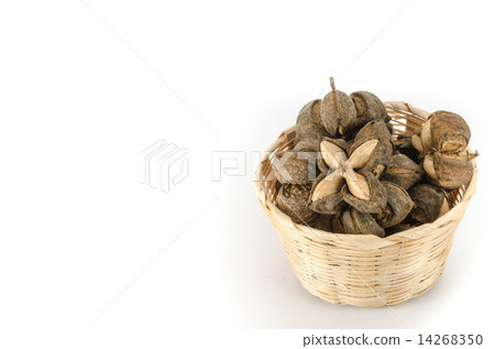 Sacha inchi 14268350