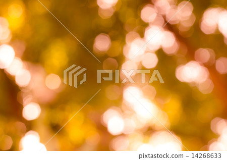 Abstract nature blur 14268633