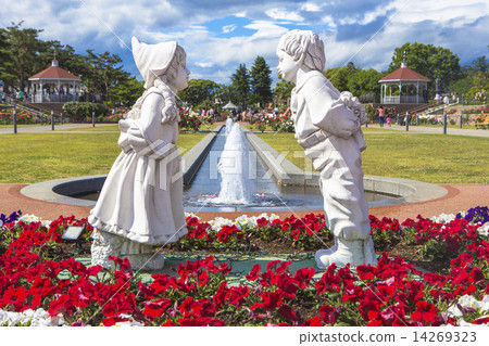 Rose blooming Shishishima Park 1 14269323