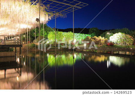 Ashikaga Flowerpa Deniseki Light Up Ashikaga Flowerpa Deniseki Light Up 14269523