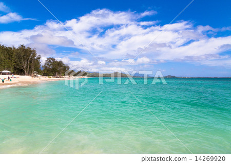 瓦胡島上的凱魯瓦海灘 瓦胡島上的凱魯瓦海灘 14269920