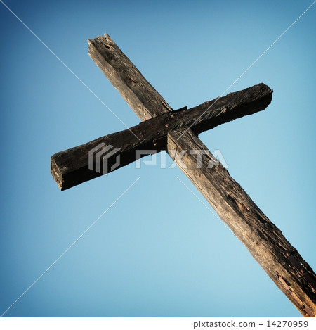 Ventura Cross 14270959