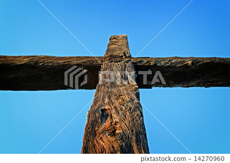 Ventura Cross 14270960