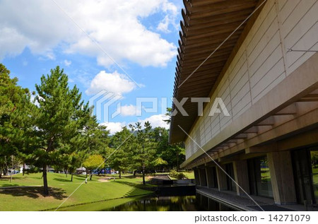 Scenery of Nara Park Scenery of Nara Park 14271079