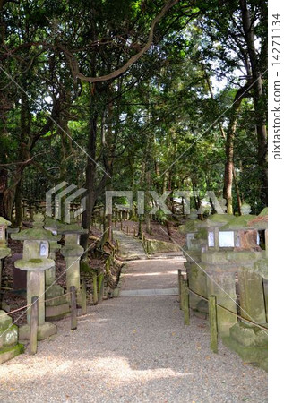 Nara Kasuga Taisei神社的方法 Nara Kasuga Taisei神社的方法 14271134