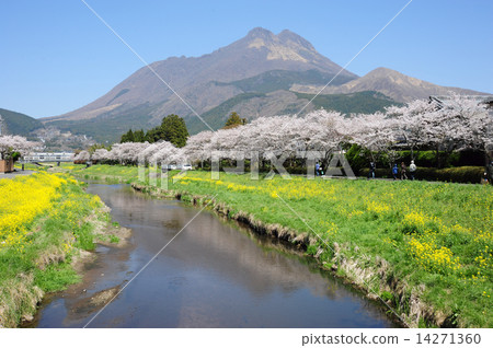 Yufuin in spring 14271360