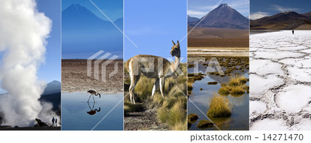 Atacama Desert - Chile - South America 14271470