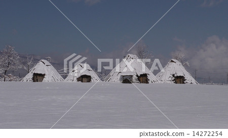 Hiraizu Archaeological Park (Snow) 14272254