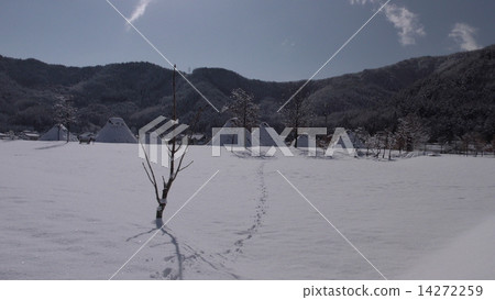 Hiraizu Archaeological Park (Snow) 14272259