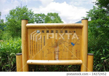 夏天的大瀨 14272452