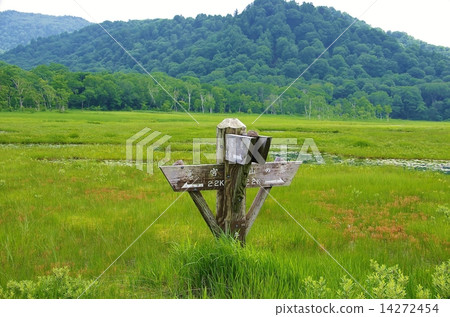 夏天的大瀨 夏天的大瀨 14272454